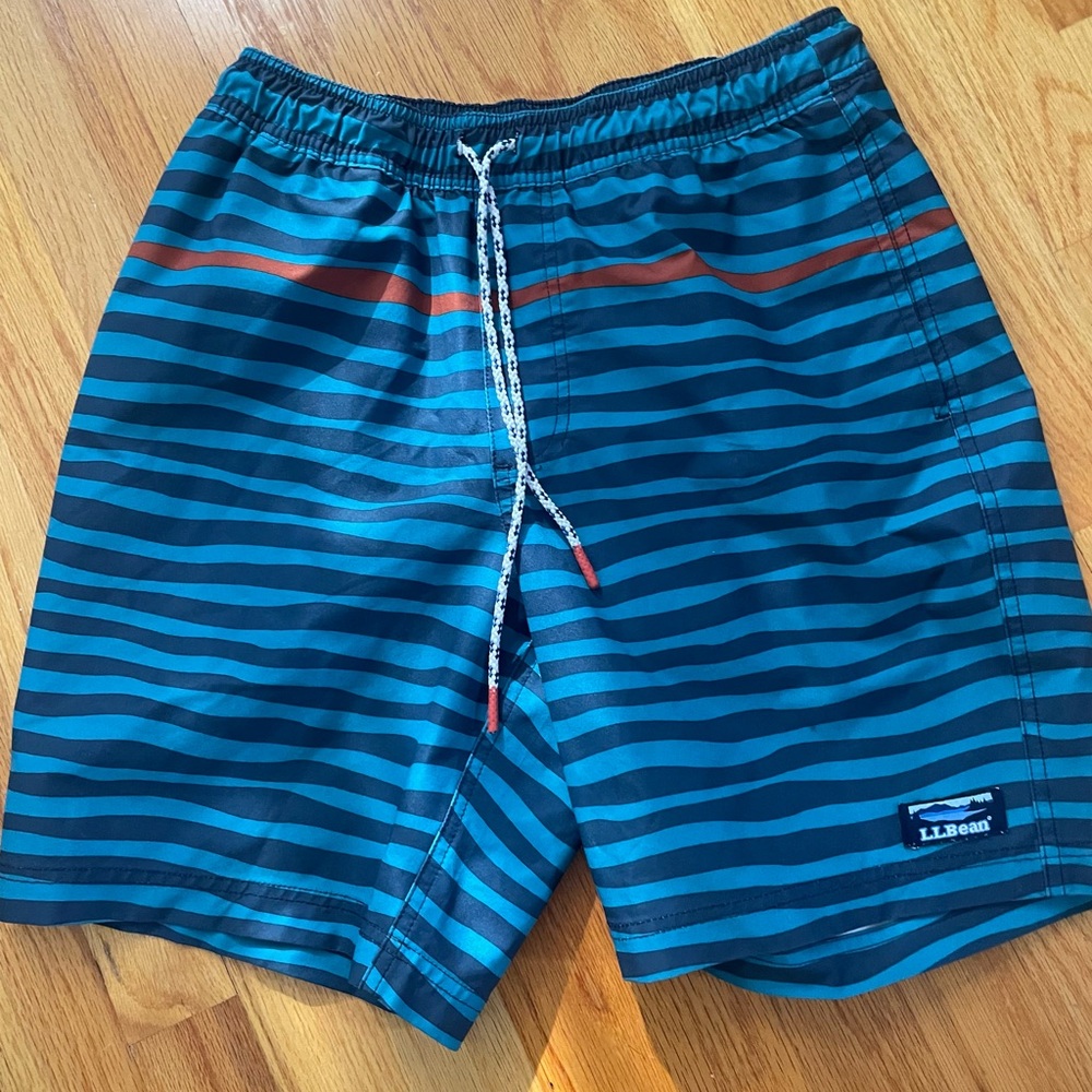 L.L. Bean Men's Blue and Brown Striped Swim Shorts